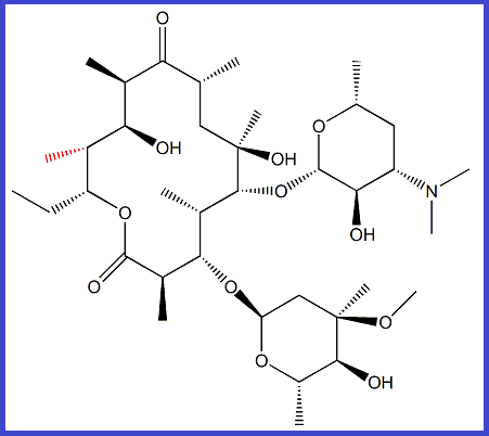 ERYTHROMYCIN B / 12-DEOXY ERYTHROMYCIN